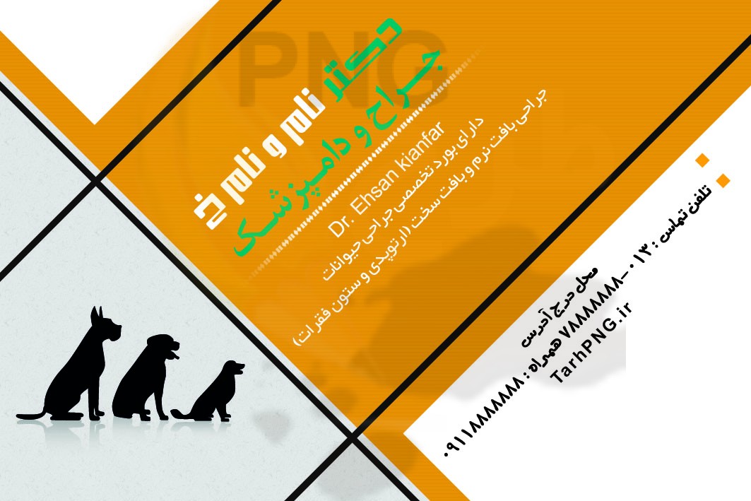 دانلود طرح لایه باز ست اداری دامپزشکی