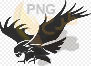 دانلود فایل png بدون بکگراند طرح تتو عقاب