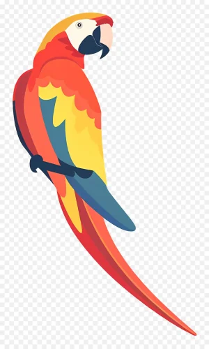دانلود فایل png بدون بکگراند طرح طوطی