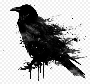 دانلود فایل png بدون بکگراند طرح کلاغ