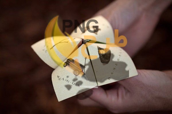 22 نکته در طراحی بروشور که فروش شما را افزایش می دهد
