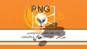 دانلود فایل لایه باز کارت ویزیت بیمه خاورمیانه